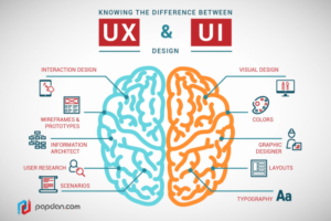 Apa itu user interview