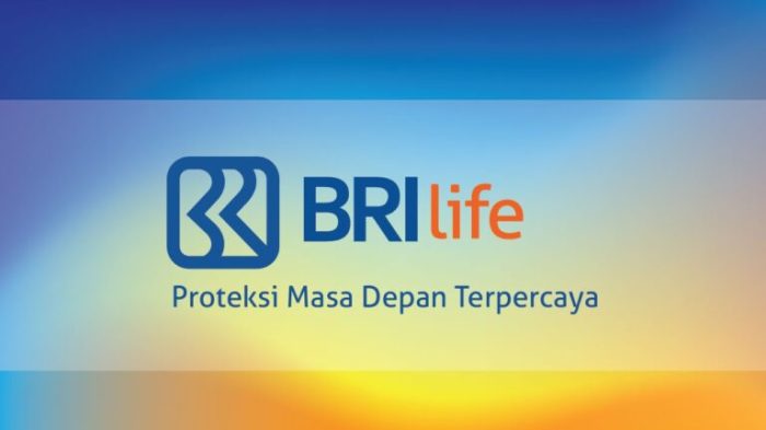 Pertanyaan interview bri life