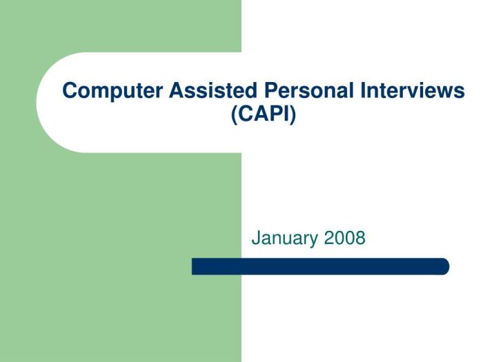 Computer assisted personal interview capi adalah